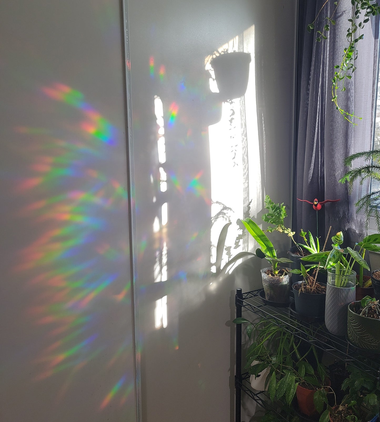 Midnight The Celestial Cat Window Cling Suncatcher