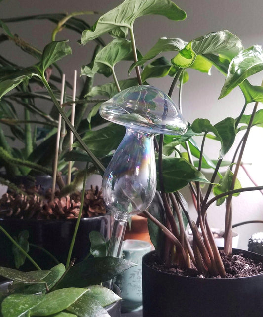 Glass Mushroom Watering Globe